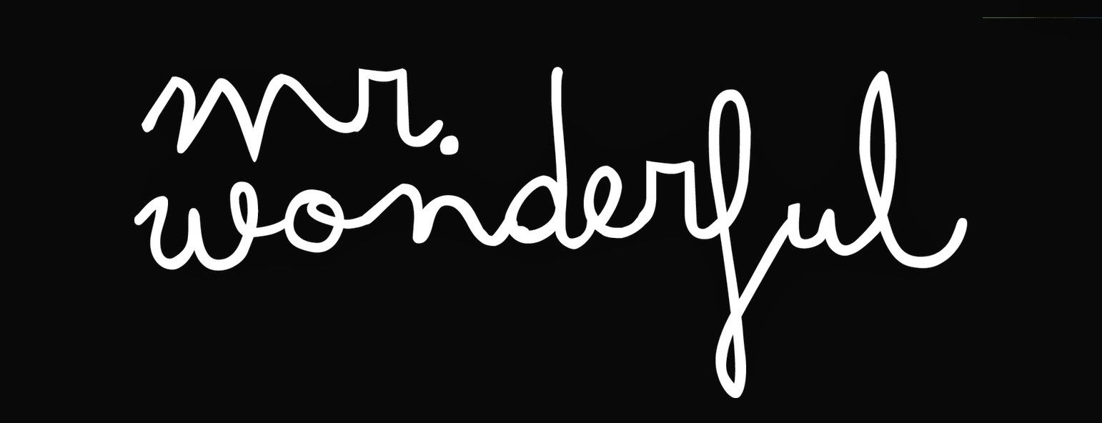 Mr.Wonderful