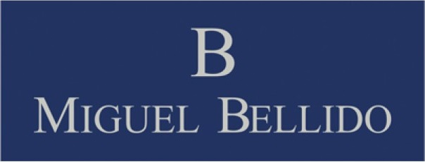 Miguel Bellido