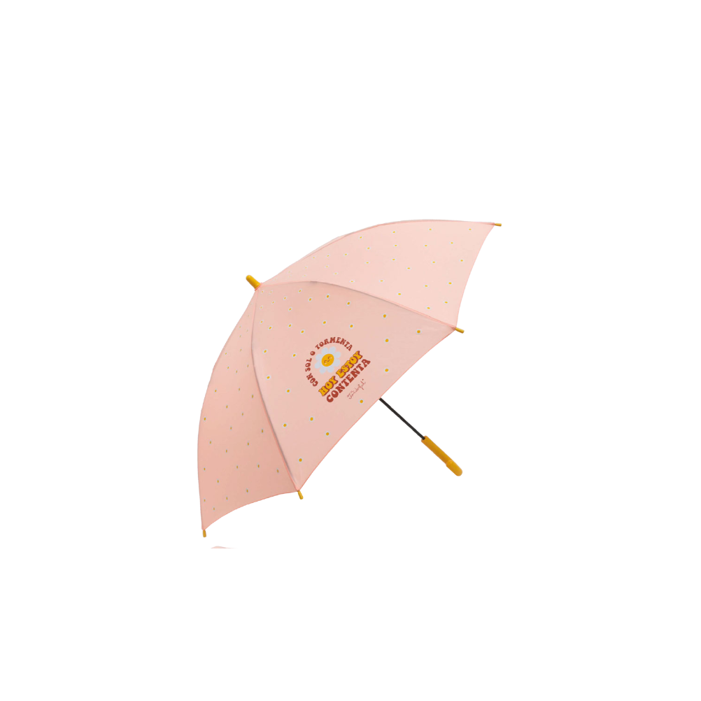 19236_ROSA paraguas mr wonderful